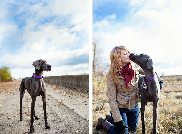 Great-Dane-at-the-beach, Weimaraner-mix-, girl-and-her-dog