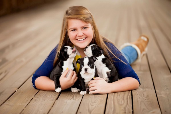 Boston-Terriers-and-girl-family-photographer