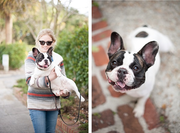 © Britt Croft Photography, adorable-French-Bulldog