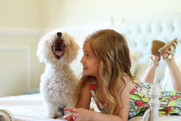 © Lucy Munoz Fotographia | Daily Dog Tag |Laughing Maltese and girl