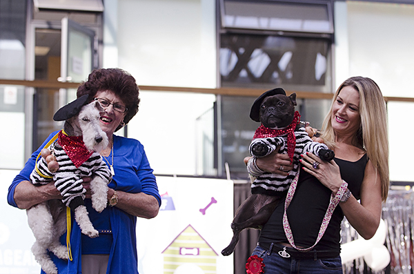 © Amber Allen, The London Phodographer, dogs-fashion-event
