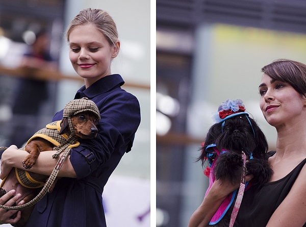 © Amber Allen , The London Phodographer| Daily Dog Tag | London-Paws-Pageant, Fashion-Hounds
