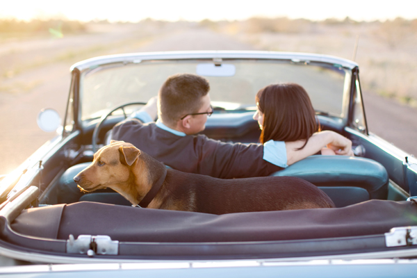 © Melissa Jill Photography | Daily Dog Tag | mixed-breed-rescue and family, AZ-family-portraits