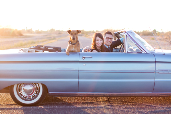 © Melissa Jill Photography | Daily Dog Tag | Mixed-breed-in-backseat-blue-classic-convertible