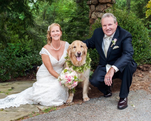 © Cariad Photography/Laura Parente | Daily Dog Tag | Dog in Wedding