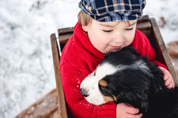 © Custom by Nicole Photography | Daily Dog Tag | Swiss-Mountain-Dog-puppy-and-toddler