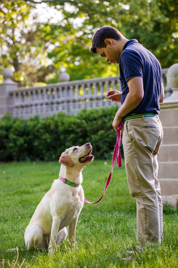 © Kathryn Schauer Photography | Daily Dog Tag | Yellow-Lab, CT-on-location-dog-photographer