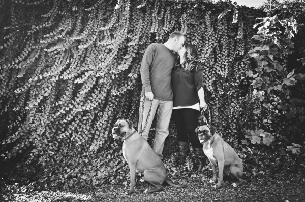 © Origin Photo | Daily Dog Tag | Boxers-in-engagement-session