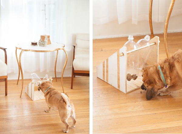 https://www.dailydogtag.com/wp-content/uploads/2014/09/DIY-Tutorial-Dog-Food-Dispensing-Toy.jpg