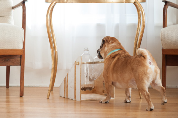 floor standing dog treat dispenser