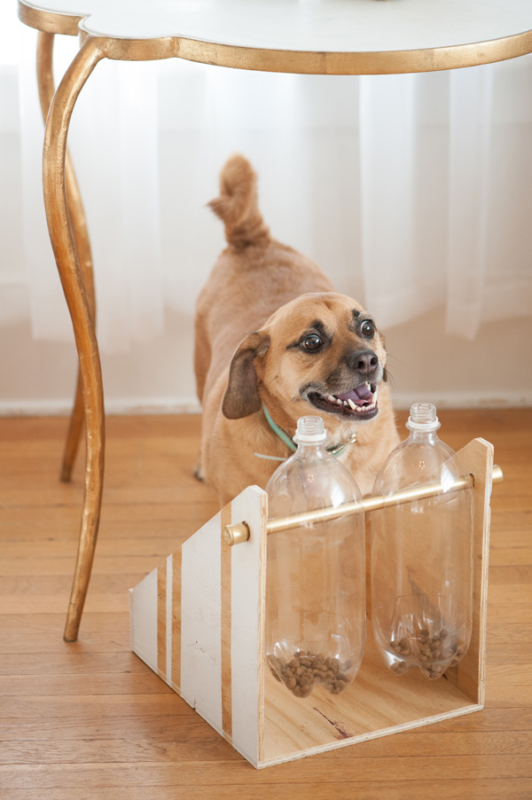 DIY Dog Treat Dispenser to Make at Home 🐶🏠 