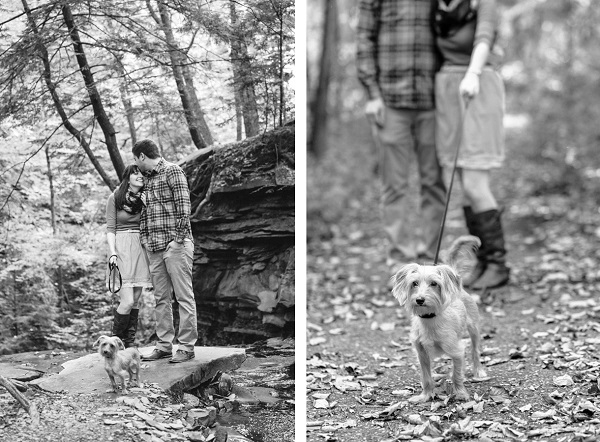 © Maria Sharp Photography | Engagement-photos-with-small-dog, on-location-pet-photography