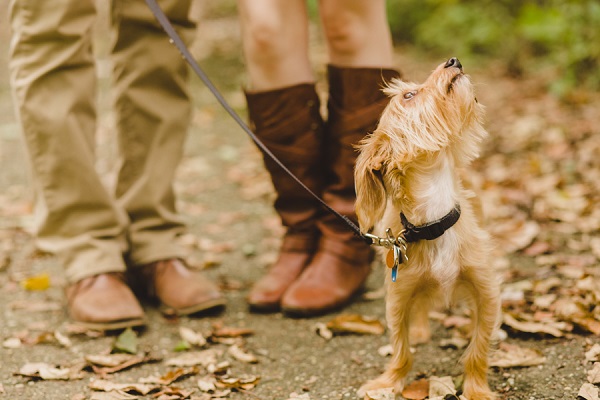 © Maria Sharp Photography | Cuyahoga Valley National Park autumn engagement session with dog