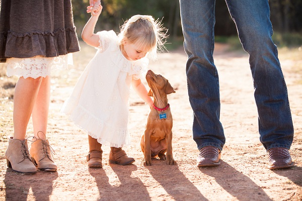 © Fife Photography | little-girl-Vizsla-puppy-family-pictures