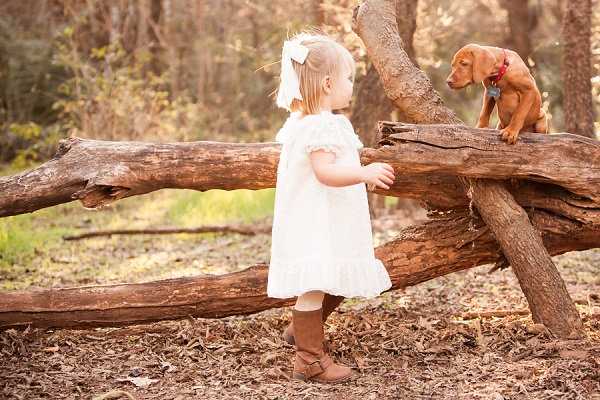 © Fife Photography |little-girl-Vizsla-puppy-in-woods, on-location-dog-photography