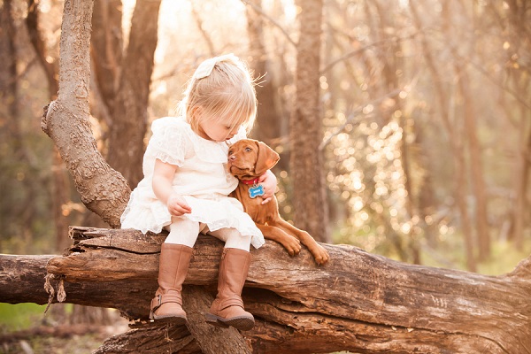 © Fife Photography |little-girl-Vizsla-puppy-in-woods-sitting-on-log
