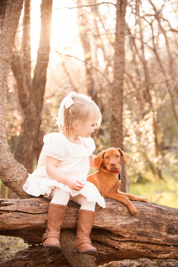 © Fife Photography |toddler-puppy-sweetest-friendship, lifestyle pet photography, little girl Vizsla puppy