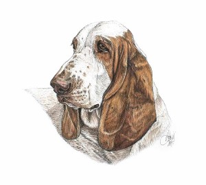 Spotlight: Louise Jarvis Art - The World of Dogs - Daily Dog Tag