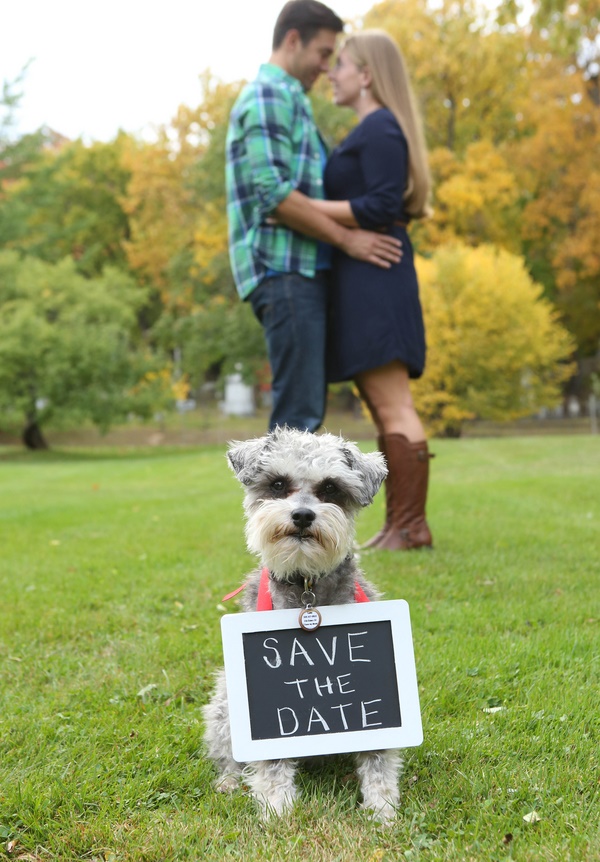 Save The Date Photos With Dogs - Daily Dog Tag