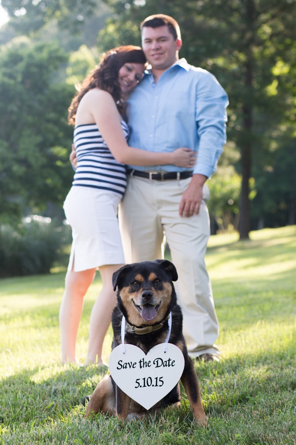 Save The Date Photos With Dogs - Daily Dog Tag