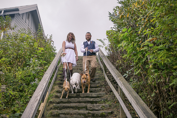 © Meghan Rolfe Photography | on location wedding and dog photography, bride groom, 3 dogs