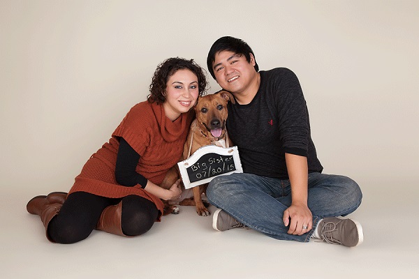 © Cathy Murai Photography | dog with "big sister" sign, dog announcing human's pregnancy, family photos with dog