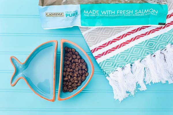 CANIDAE®-Grain-Free-Dog-Food-With-Fresh-Salmon-Daily-Dog-Tag, fish shaped dog food and water dishes on aqua background