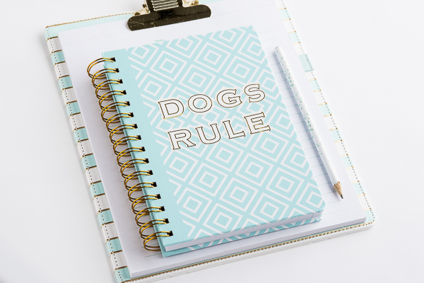 aqua spiral journal, aqua striped clipboard, dogs rule notebook, office accessories for dog lovers