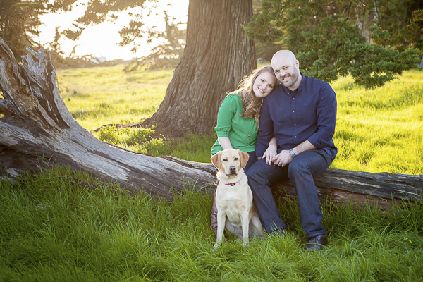 Yellow Labrador, couple sitting on fallen tree, engagement pictures with dog