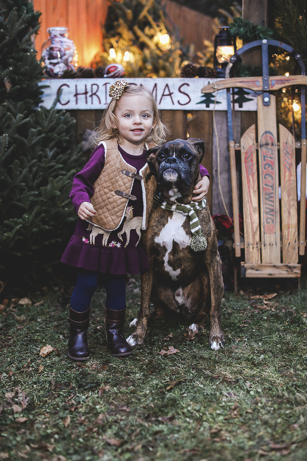 little girl and Boxer, jasmine-rose-photography-christmas-card-photos-14