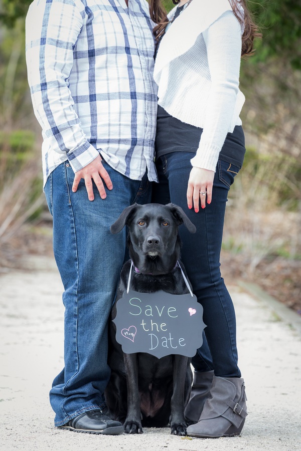 How to Include Dogs In Engagement Photos - Daily Dog Tag