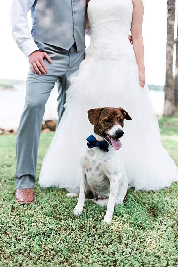 dog in bow tie, bride, groom in background, include dog in wedding portraits