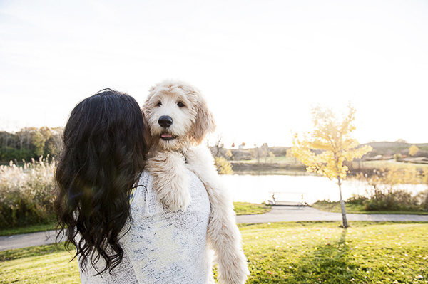 brunette holding goldendoodle puppy, park setting dog photos