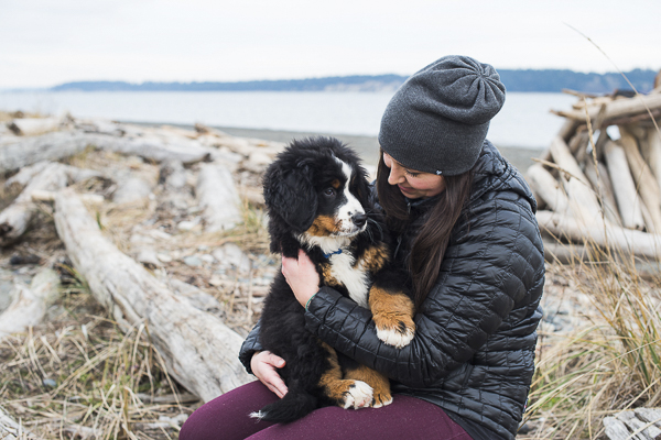 BMD puppy sitting in woman's lap, beach dog photos