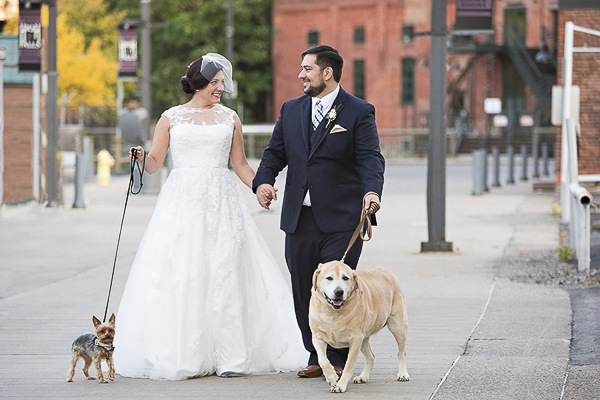 Yorkie, bride, groom, Yellow Lab walking, wedding dogs