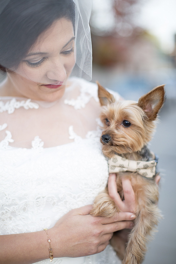 bride holding Yorkie wearing bow tie, wedding dog