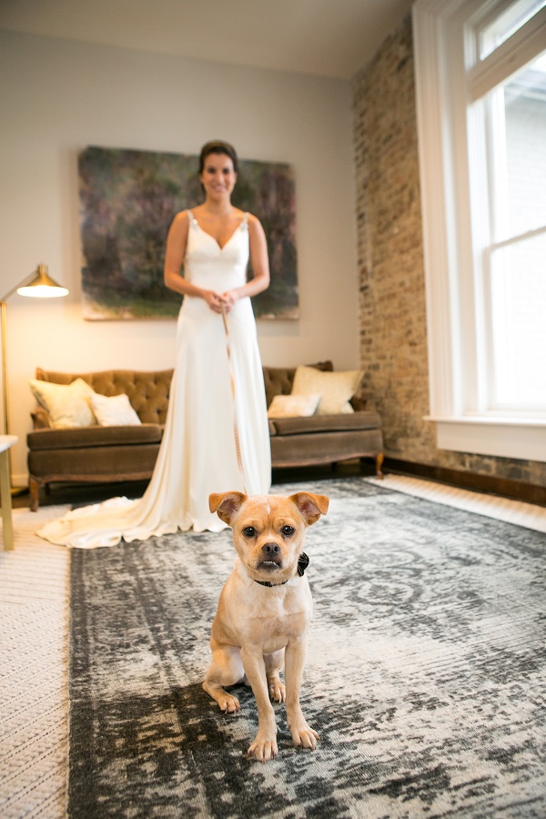 bride and cute small dog, wedding portraits with dog