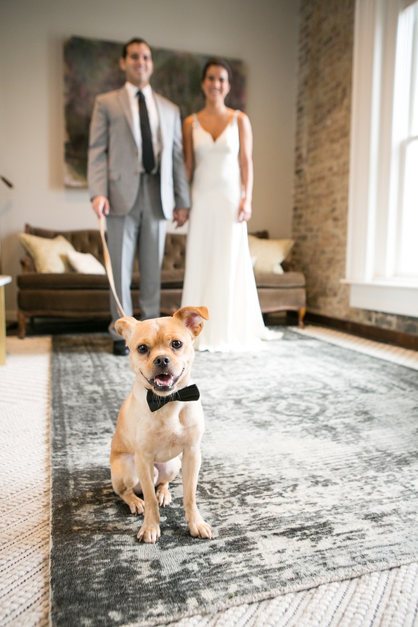 bride, groom, wedding dog , smiling dog in black bow tie