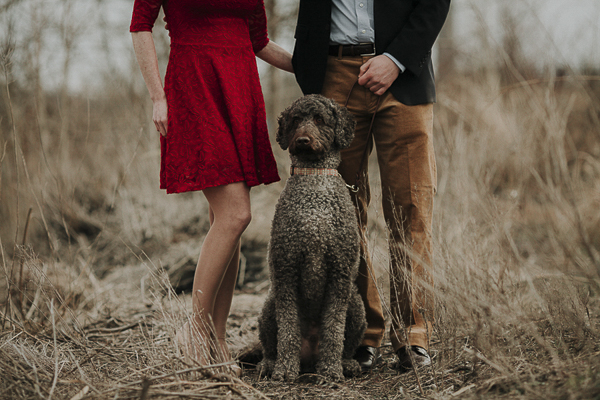 Wilmington, DE, on location portraits with dog, engagement photos with Labradoodle