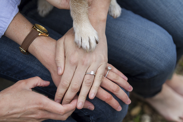 paw and women's hands, engagement photos with dog