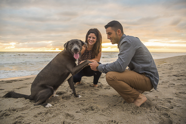 man holding dog's paw on the beach, family beach photos, creative dog photography