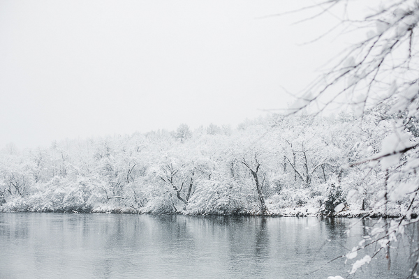 snowy North Carolina, snow covered trees,river,