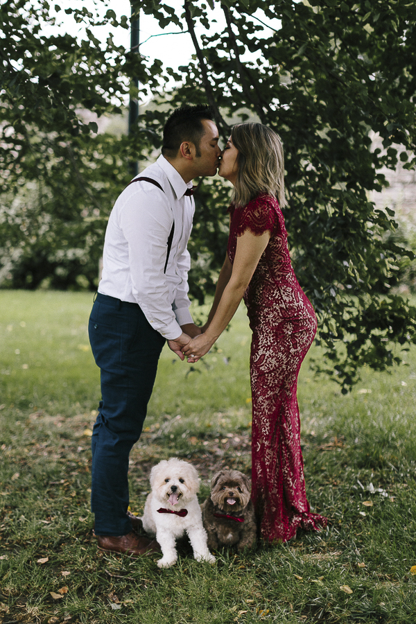 well dressed couple holding hands and kissing over small dogs, engagement photos with dogs