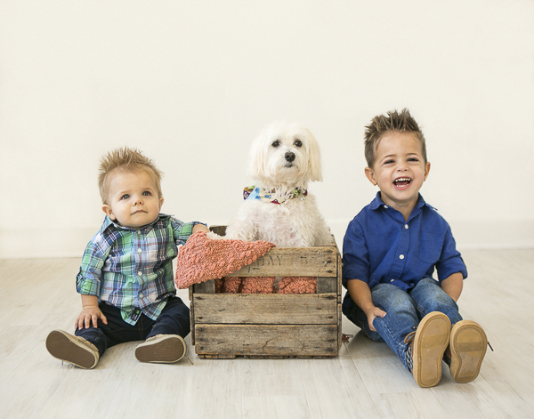 dog in wooden box sitting between toddler boys, family pet photography