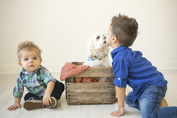 small white dog kissing little boy, dogs and kids, first birthday photographs