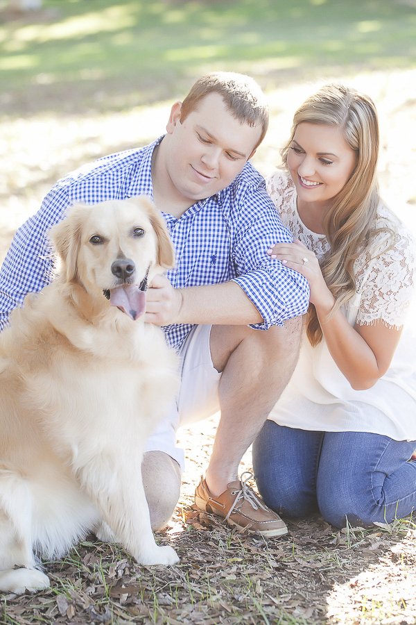 Engaging Tails: Madison the Golden Retriever - Daily Dog Tag