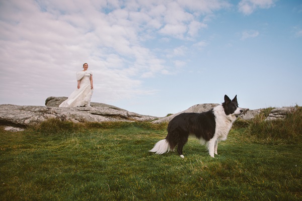 bride on large rock, dog in foreground, lifestyle wedding photos with dogs