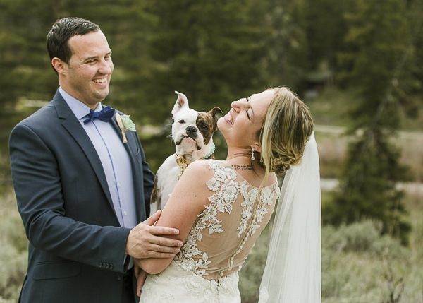 French Bulldog Wedding Dresses