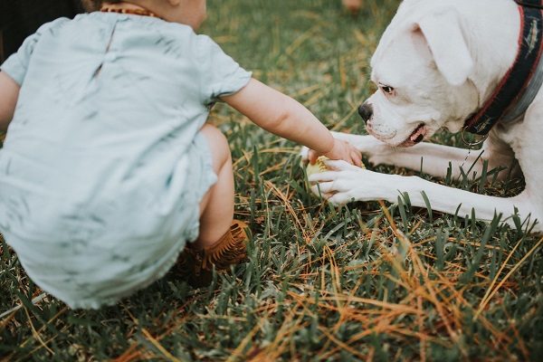 little girl taking ball away from gentle dog, ©Love Mary Beth Photography | Panama City, documentary dog photographer