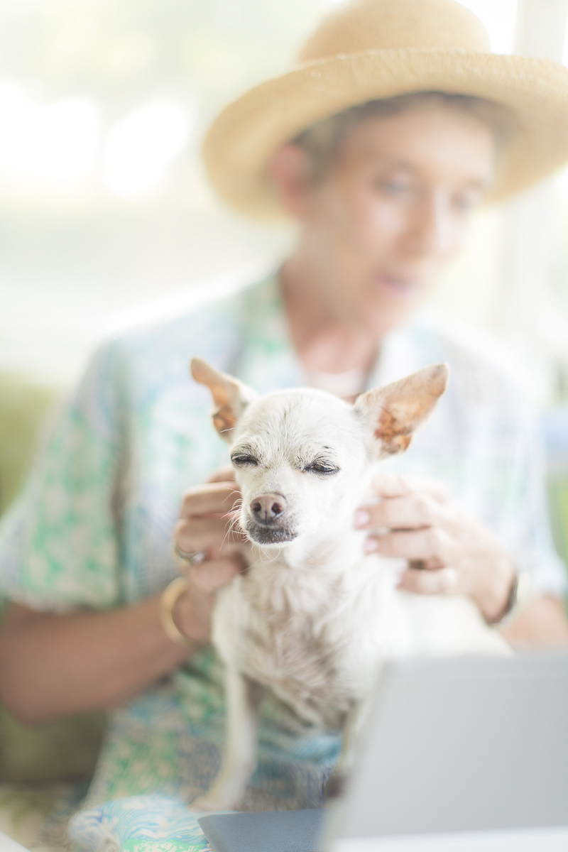 woman giving senior Chi a neck rub, bond between dogs and people, ©Amanda Emmes Photography | Oahu, Hawaii dog photography